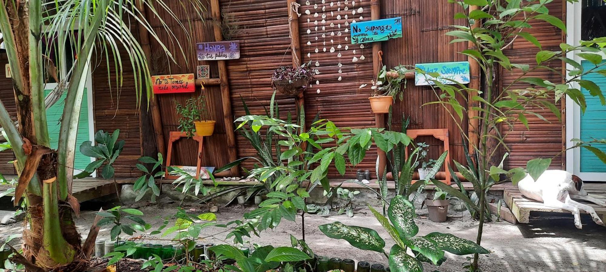 ホテル Raices モンピチェ 部屋 写真